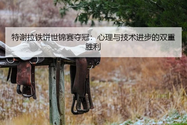 特谢拉铁饼世锦赛夺冠：心理与技术进步的双重胜利