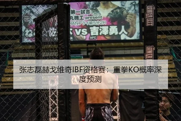 张志磊赫戈维奇IBF资格赛：重拳KO概率深度预测