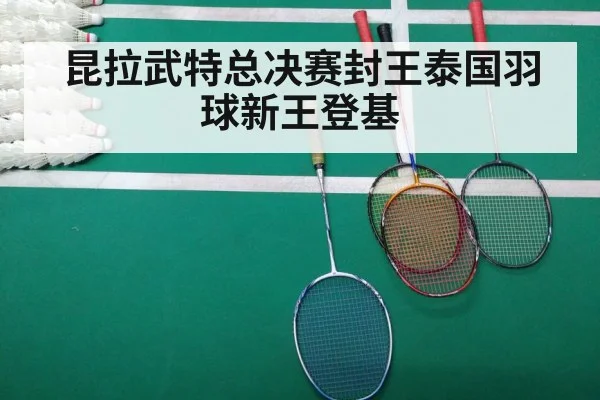badminton final match